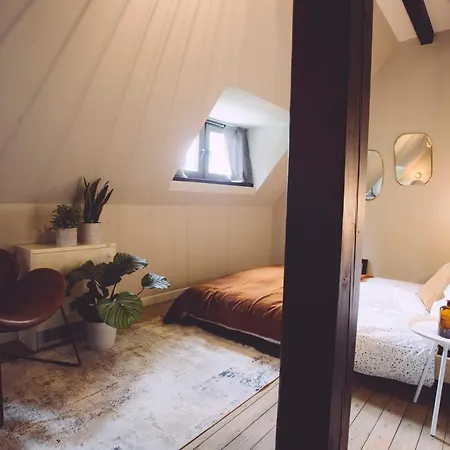 Edelfuchs-lodge Hotell