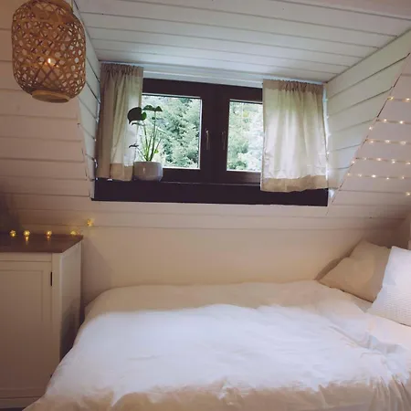 Hotel Edelfuchs-lodge *