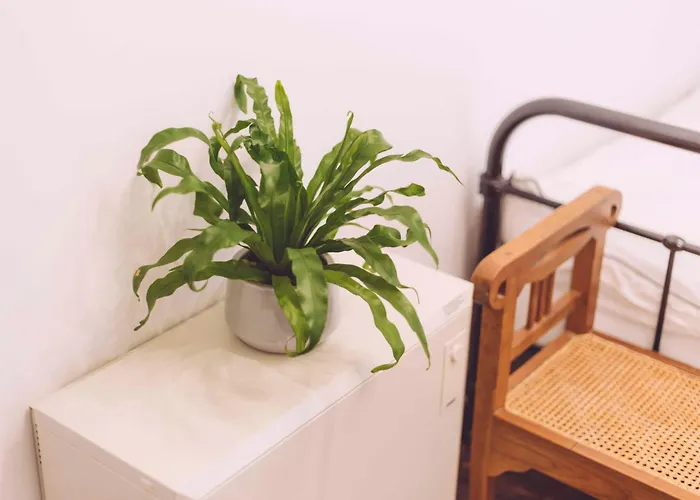 Edelfuchs-lodge Hotell Bühlertal