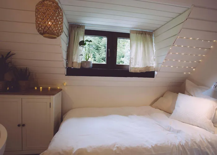 Отель Edelfuchs-lodge *